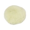 Bonnet de lustrage pour QP317