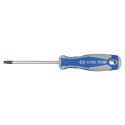Tournevis TORX® T25