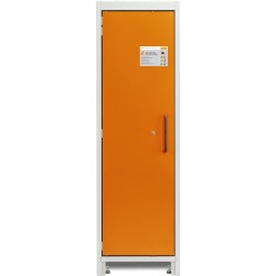Armoire de sécurité PROline 6/20 F90 1 porte gauche pour batteries lithium 100 Wh