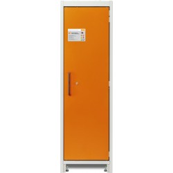 Armoire de sécurité PROline 6/20 F90 1 porte droite pour batteries lithium 100 Wh