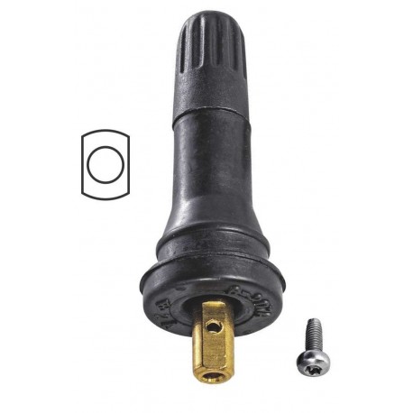 Valve de roue TPMS TR420