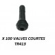 Sachet de 100 valves de roue courte TR413 - VNEQUIPEMENT