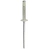 Lot de 250 Rivets blanc 4x18mm - Spécial plaque d'immatriculation
