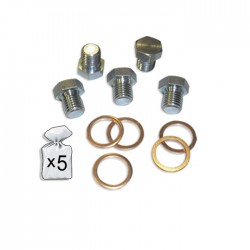 Kit de bouchons de vidange M17x1,5P avec 5 écrous et 5 rondelles – idéal pour remplacement rapide et étanchéité fiable