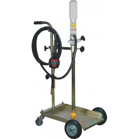 Ensemble pneumatique graisse 50/60kg avec pistolet digital