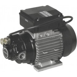 Pompe à huile électrique à palettes 230V – Débit 25 l/min – Pour huiles jusqu’à 500 cSt - LIVRAISON OFFERTE - PIUSI
